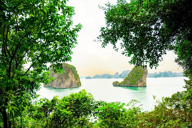 1-Day Bai Tu Long Bay Cruise: Pristine, Fun & Away fr the Crowds - Thien Canh Son Cave: Worth It, But Bring Shoes for the Steps