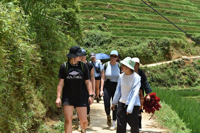 1-Day Private Trekking in Sapa through Terraces Rice Fields - A Different Sapa Route: Y Linh Ho, Lao Chai, and Ta Van