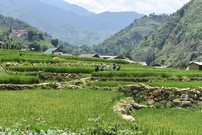 1-Day Private Trekking in Sapa through Terraces Rice Fields - Stop One, Y Linh Ho Village and the View Over Muong Hoa