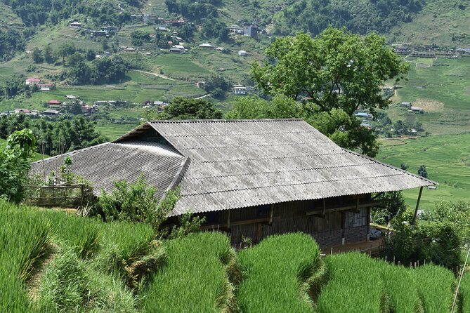 1-Day Private Trekking in Sapa through Terraces Rice Fields - Price and Value: What $49 Buys in Sapa