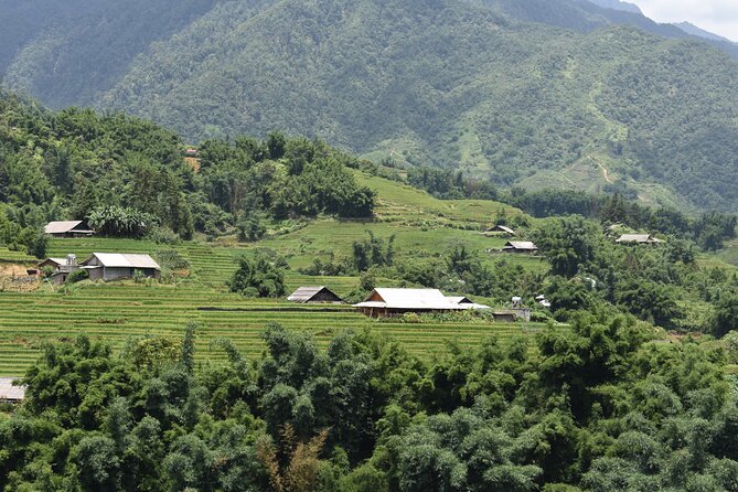 1-Day Private Trekking in Sapa through Terraces Rice Fields - Timing, Pace, and What the 9:00 Start Means