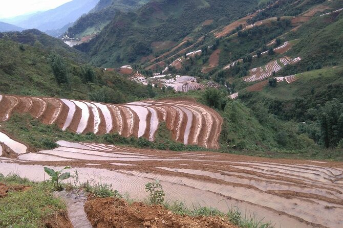 1 Day Sapa Authentic Trekking ( off beaten track ) - Trail plan: Suoi Ho to Giang Cha through rice terraces and forest