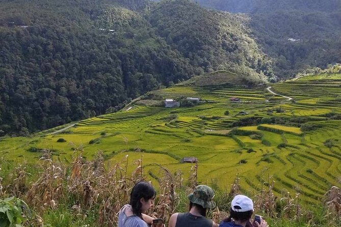1 Day Sapa Authentic Trekking ( off beaten track ) - Lunch in the valley: included, local, and actually useful mid-trek
