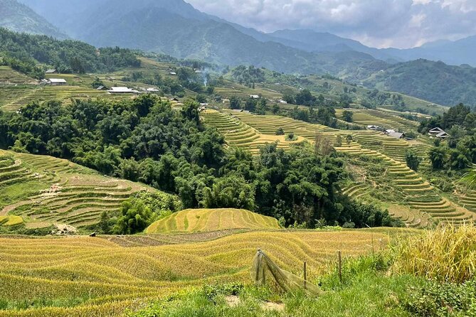 1 Day Sapa Authentic Trekking ( off beaten track ) - Corn fields and black limestone: the payoff part of the walk