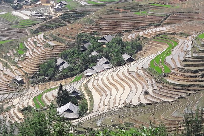 1 Day Sapa Authentic Trekking ( off beaten track ) - Private guide perks, plus why Mr Sinh and Ms Mu are a big deal