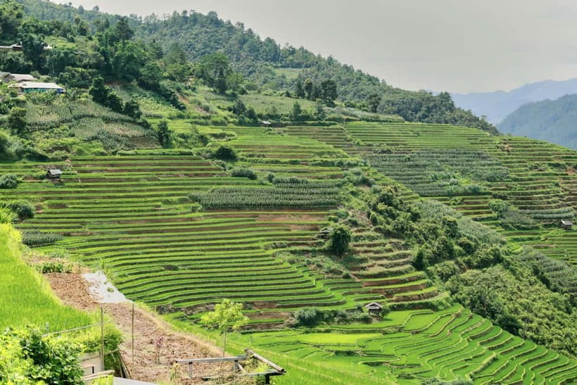 1-Day Sapa Long Trek - Rice Field Terrace, Ethnic Culture - Bonus tips that make this trek smoother (and less stressful)