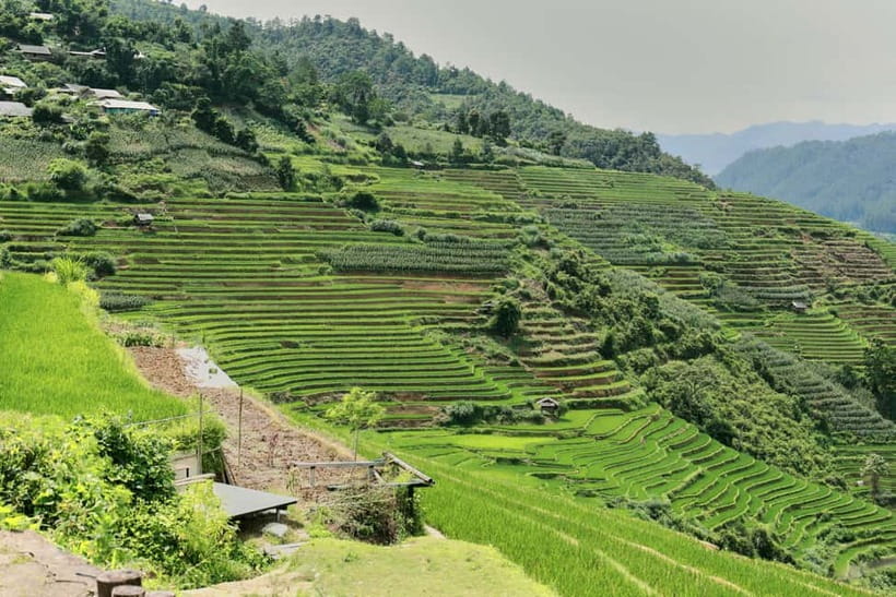 1-Day Sapa Long Trek - Rice Field Terrace, Ethnic Culture - Price and logistics: what $24 buys you and what it does not