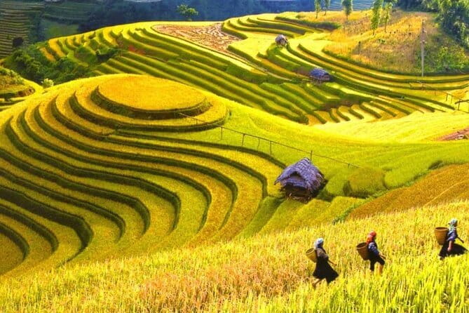 1 Day Sapa Tour Explore Y Linh Ho And Lao Chai And Ta Van Village - How This 6-Hour Trek Fits a Sapa Day