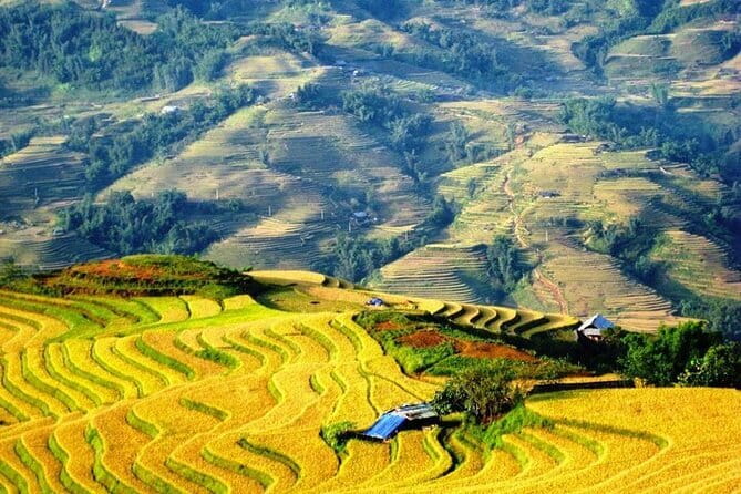 1 Day Sapa Tour Explore Y Linh Ho And Lao Chai And Ta Van Village - Lao Chai: Descending Into Another Black Hmong Village