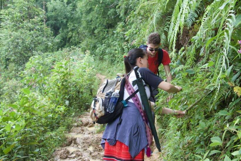 1 Day Sapa Trek&Home-cooked Lunch HmongSisterHouse&Trekking - Sa Pa at Human Speed, From the Town Meeting Point
