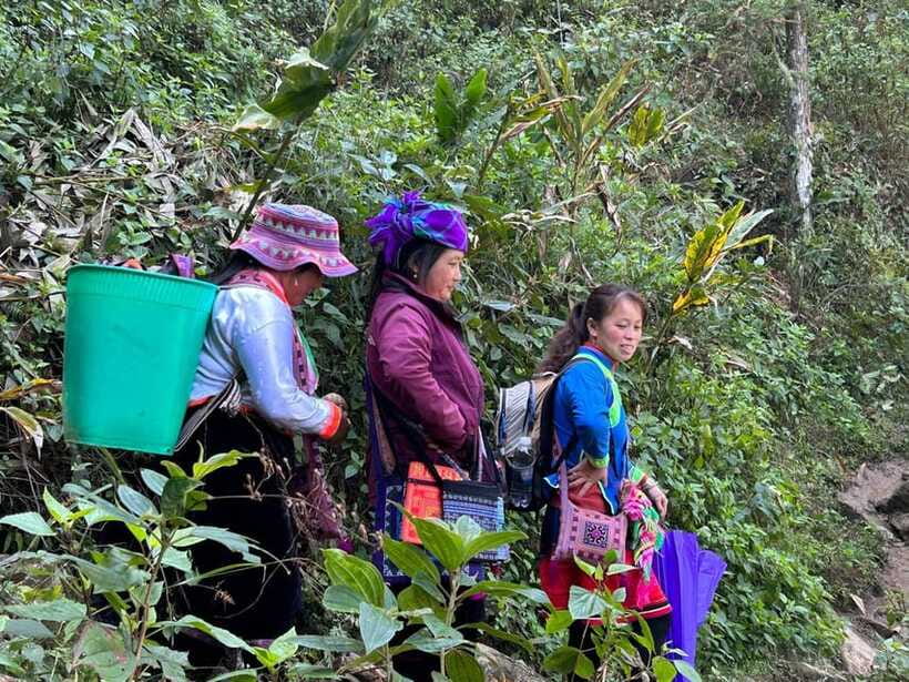 1 Day Sapa Trek&Home-cooked Lunch HmongSisterHouse&Trekking - Ending at Zizi Mekhoo Homestay, and How to Plan Your Return
