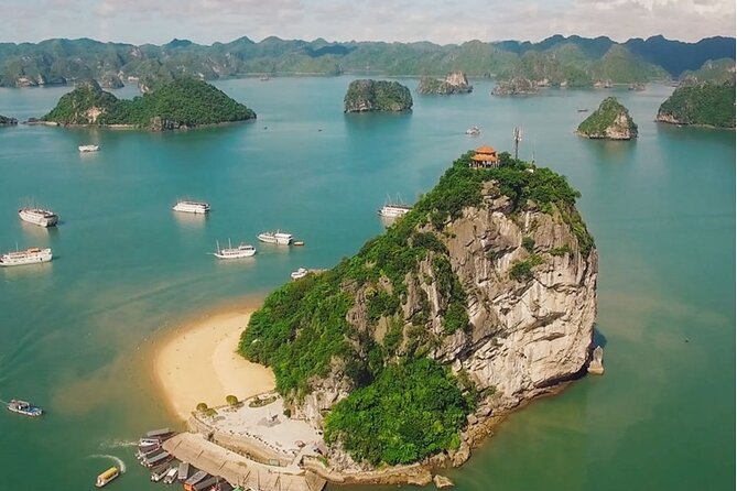 1 Day Tour to Halong Bay Cruise from 3 - 5 star Cruise & Transfer - Ti Top Island: Swim, Hike, and Grab That Halong Photo