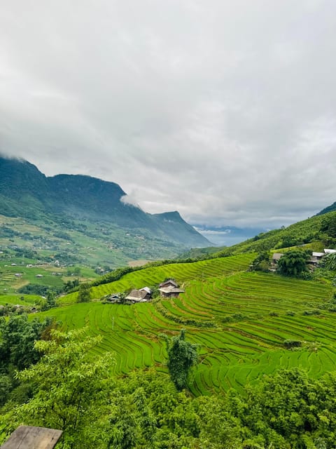 1 DAY Trek the Most Beautiful Villages of Sapa & Local Guide - Ta Van and Mường Hoa area: scenic trails and community time