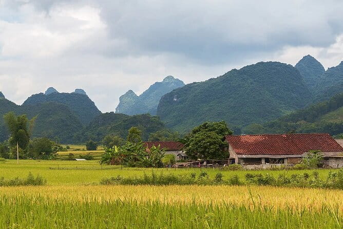 12 Days in Vietnam | Cultural Exploration with Beach Escapes - Saigon at Full Volume: Independence Palace, War Remnants Museum, Cu Chi