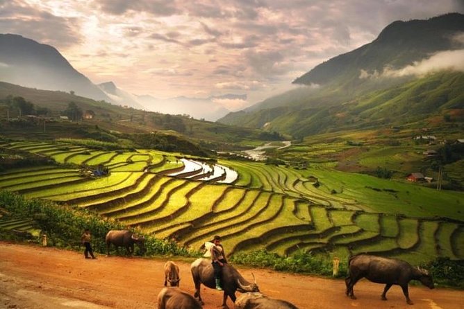 15-Day Majestic Vietnam FULL Package - 68% OFF + Bonuses - Hue highlights with dragon boat and the imperial city
