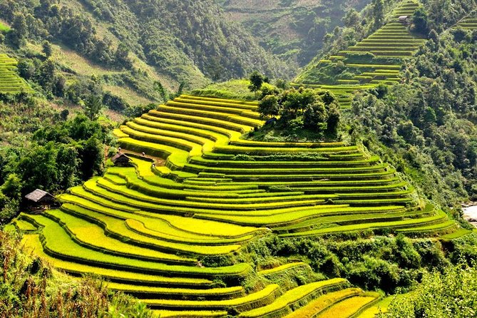 15-Day Majestic Vietnam FULL Package - 68% OFF + Bonuses - Free day in Ho Chi Minh City, plus an optional tour