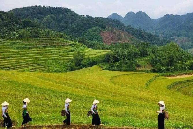 15-Day Vietnam Itinerary All in One | Travel Package 2026-2027 - Hanoi to Ha Long, the trip’s best trick is how little you have to plan