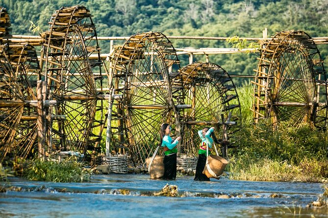 15-Day Vietnam Itinerary All in One | Travel Package 2026-2027 - Ha Long Bay cruise with the early deck routine (Tai Chi at sunrise)