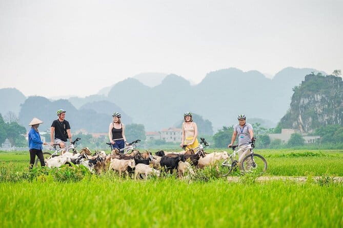 17-Day Vietnam Tour | Explore the Best Highlights of Vietnam - Tran Quoc, Ho Chi Minh complex, museums, and Temple of Literature in one go