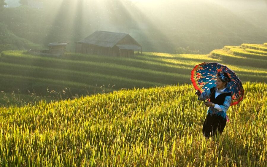 2 Day-2 Night Sapa Trekking: Overnight Train &Limousine Bus - Key things that make this Sapa trek plan worth your attention