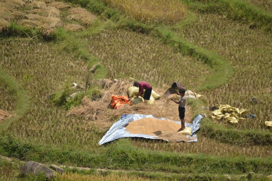 2 Day-2 Night Sapa Trekking: Overnight Train &Limousine Bus - Lao Chai to Ta Van Trek: The Views Are Real, but So Is the Mud