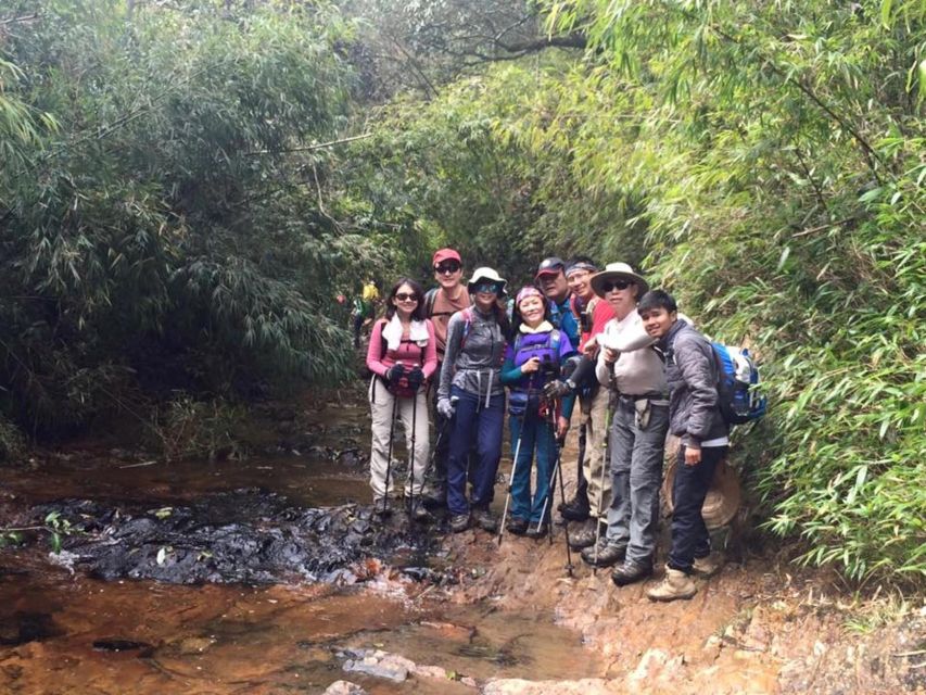 2-Day Fansipan Mountain Trek - Indochina's Highest Peak - Day 2 summit push, bamboo forests, and sunrise at Fansipan