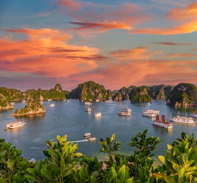 2-Day Ha Noi - Ninh Binh - Ha Long Bay Highlights Tour - Sunset party on the boat: red wine, cakes, and a softer ending