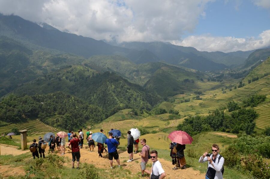 2-Day Sa Pa Ethnic Homestay Tour & Trek with Limousine Bus - Should you book this 2-Day Sa Pa ethnic homestay trek?