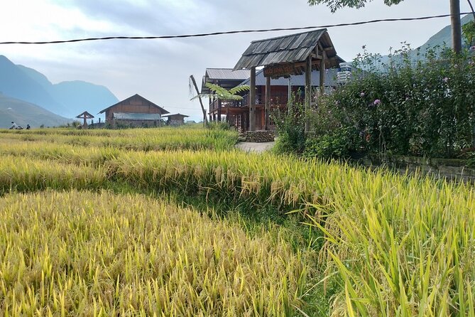 2-Day Sapa Guided Tour Slipping in Homestay From Hanoi - Why the Hanoi-to-Sapa Transfer Feels Worth It