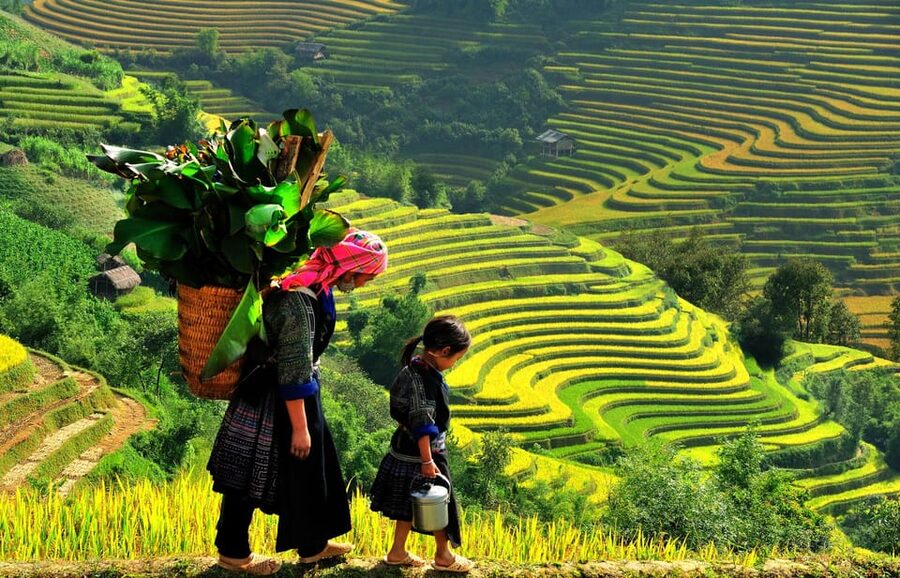 2-Day Sapa Tour - Overnight in Ta Van Village (All in One) - Day 2 medium trek: rice paddies, bamboo forest, and Giang Ta Chai Bridge