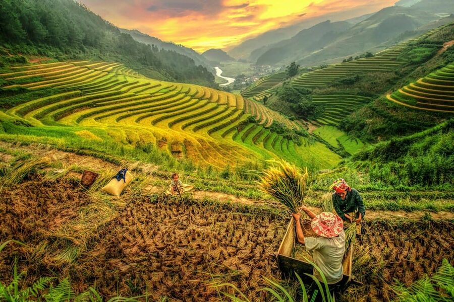 2-Day Sapa Tour - Overnight in Ta Van Village (All in One) - Your guide can make or break the trek