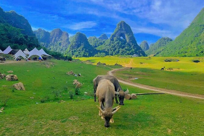 2 Day Tour in Ban Gioc Waterfalls from Hanoi - Ban Gioc and Detian Falls: your 2-hour core experience