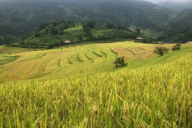 2 Day Trekking Experience: Explore with knowledgeable local guide - Two Days Trekking in Sapa With Hmong Guide Bau