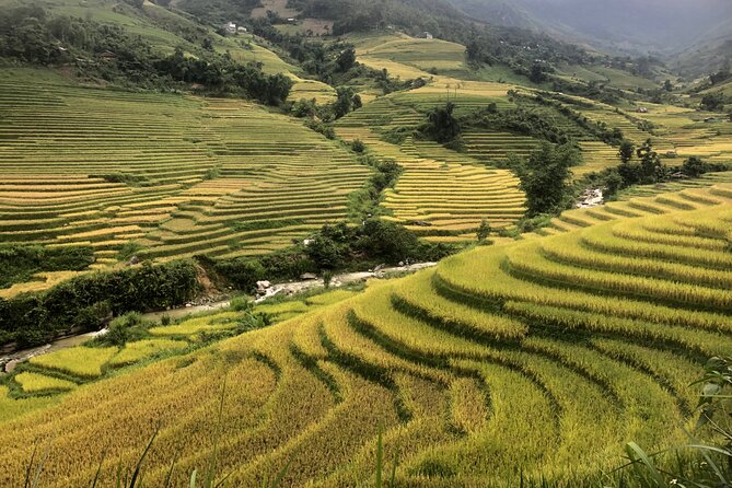 2 Day Trekking Experience: Explore with knowledgeable local guide - Day 1: 16 km Through Muong Hoa Valley and Back to a Family Home