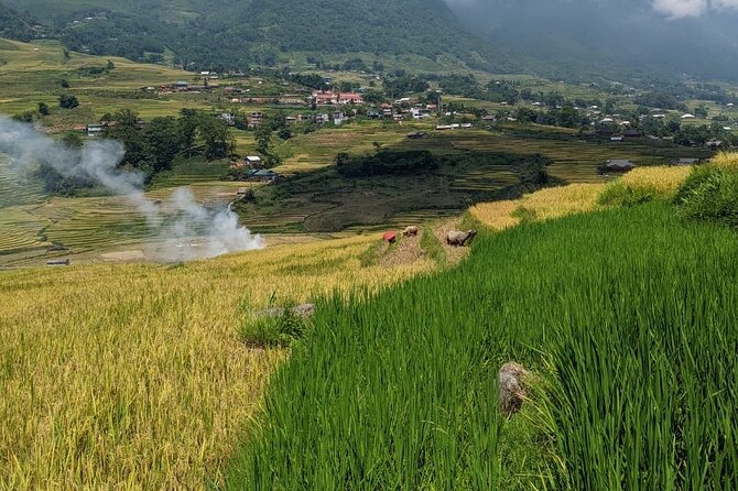 2 Day Trekking Experience: Explore with knowledgeable local guide - Day 2: More village paths and lunch with locals