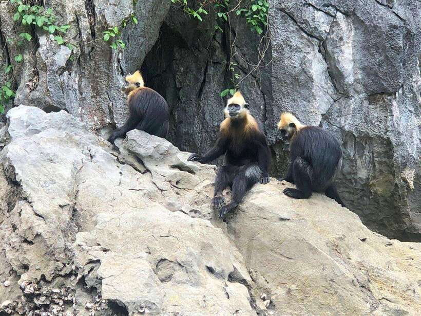 2 Days 1 Night Adventure: Cat Ba National Park, Lan Ha Bay - Price and Value: Is About $187 Per Person Fair?