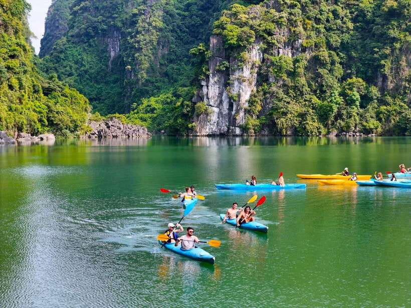 2 Days 1 Night Adventure: Cat Ba National Park, Lan Ha Bay - The Night Kayak for Bioluminescent Plankton, and What You Can Control