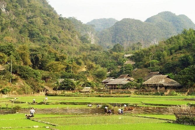 2 Days 1 Night Discovery Mai Chau Hidden Valley Classic Tour - Mai Chau homestay basics, stilt houses, and meeting local life