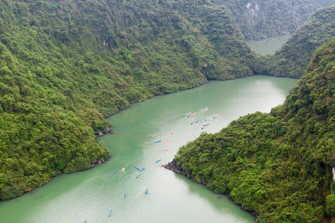 2 Days Cruise Tour in Halong Bay from Hanoi - Food on board: included meals plus the cooking moment