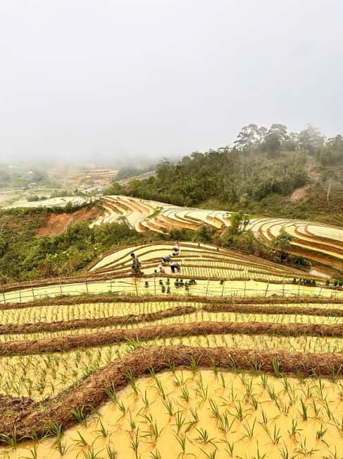 2 DAYS Explore SA PA'S Village through Scenic walking Trails - Why This 2-Day Sa Pa Village Trek Feels More Real