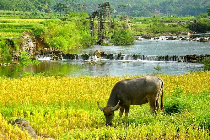 2 Days Pu Luong Offbeat Trekking Best for Mountain Lovers - Don Village, Gateway Inn Pu Luong, And Why The Stilt-House Night Works
