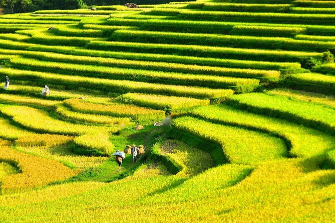 2 Days Pu Luong Offbeat Trekking Best for Mountain Lovers - Price and Value, What’s Included, And What You’ll Need to Pay Extra