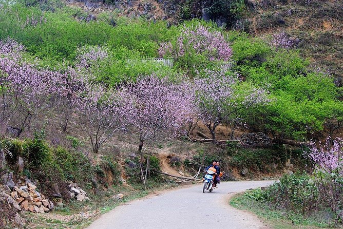 2 Days Sapa Trekking In Cat Cat And Ta Van Village From Hanoi - Day 1 at Cat Cat village: culture you can actually see
