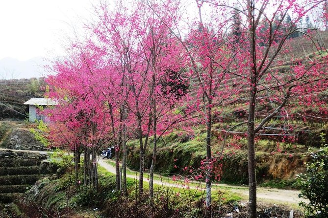 2 Days Sapa Trekking In Cat Cat And Ta Van Village From Hanoi - What the package price really buys you