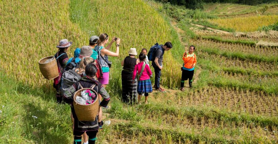 2 Night Lao Chai-Ta Van Homestay- Trekking & Fansipan Visit - Day 3: Ta Van morning trek, Giang Ta Chai suspension bridge, then back to Sapa and Hanoi