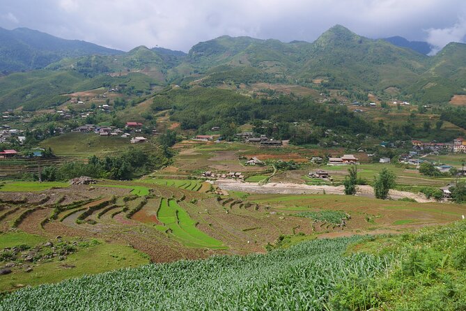 2D1N Buffalo trek by Hmong Sister House and Trekking - Pace, packing, and weather tips that keep the trek enjoyable
