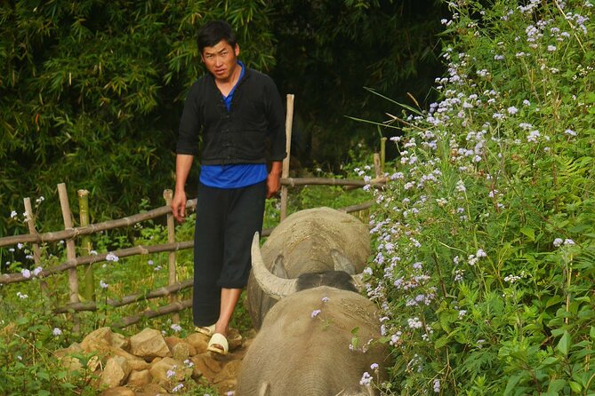 2D1N Buffalo trek by Hmong Sister House and Trekking - Who should book the Hmong buffalo trek, and who might pass?