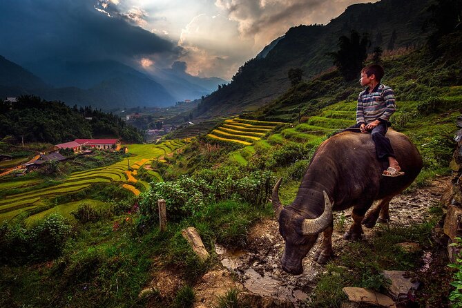 2D1N Buffalo trek by Hmong Sister House and Trekking - Day 1: Hau Thao village life, livestock scenes, and the buffalo house night