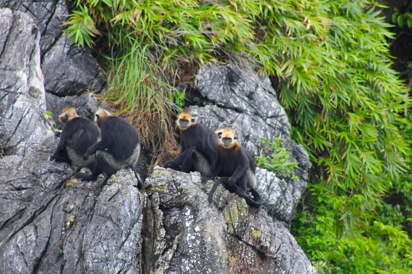 3-Day Discover the most stunning Cat Ba Island - Lan Ha Bay - Key highlights at a glance