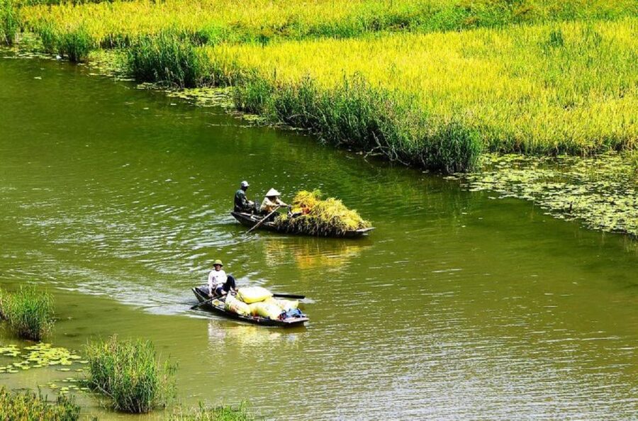 3-Day Ninh Binh Bungalow & Ha Long Bay 5 Star Cruise - Who this tour fits best